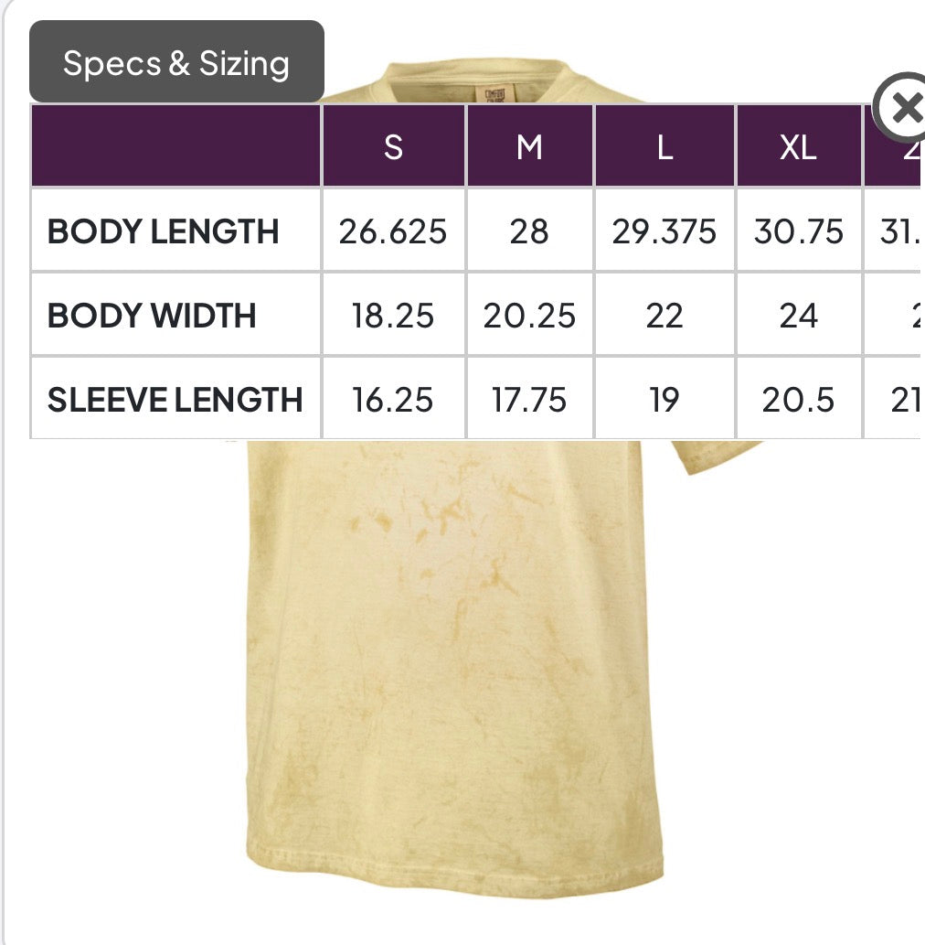 Comfort Colors Adult Heavyweight Color Blast T-Shirt